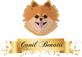 logo-canil-benatti